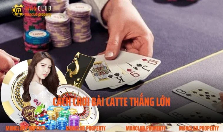 Cách Chơi Bài Catte Thắng Lớn Từ Cao Thủ